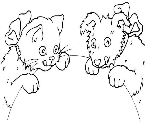 cat and dog coloring pages,animal coloring pages