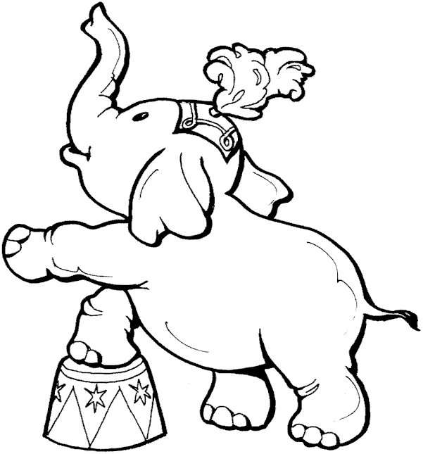 Elephant coloring pages