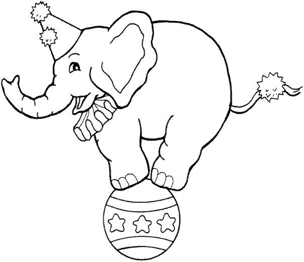 elephant2.gif (13382 bytes)