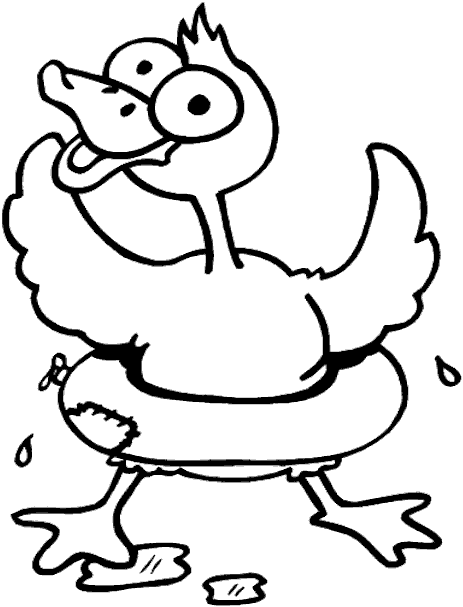 duck.gif (13563 bytes)