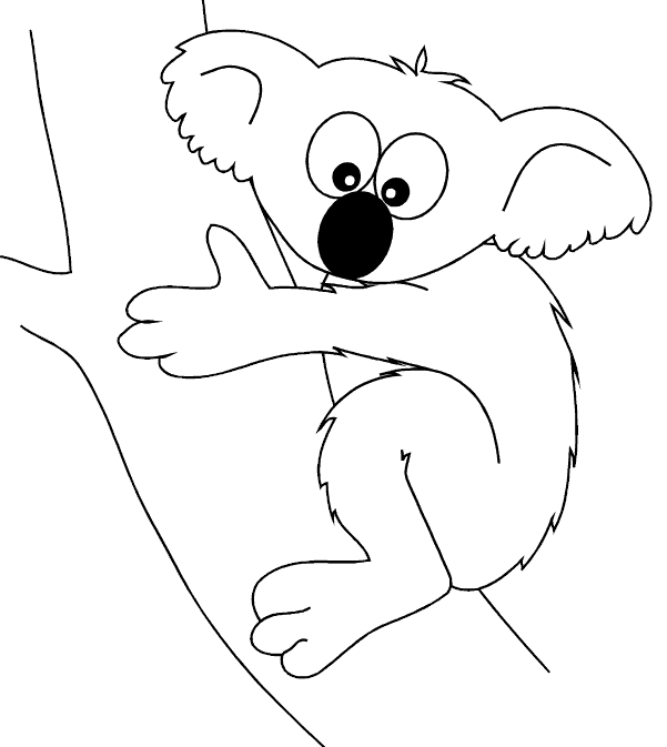 Koala coloring pages